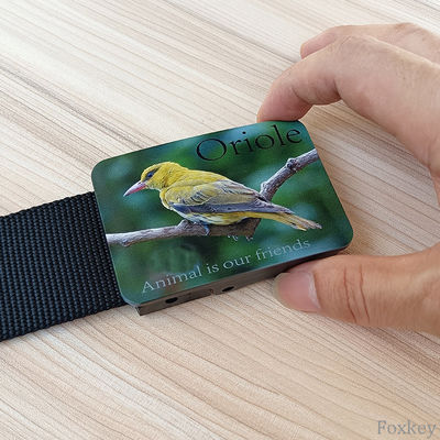 Multicolor Midsize Nylon Adjustable Belt Strap Promotion Gift Logo Print